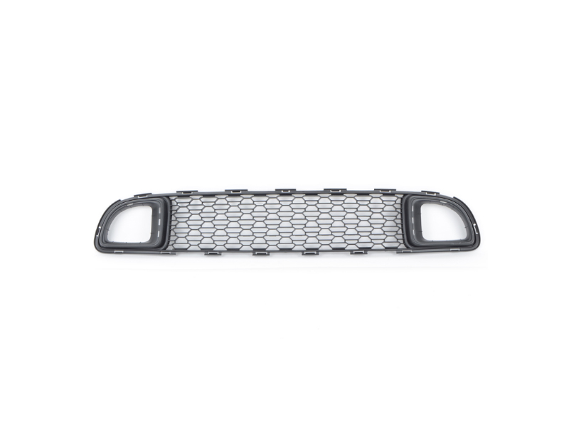 Rejilla Central de Bumper Mini Cooper S