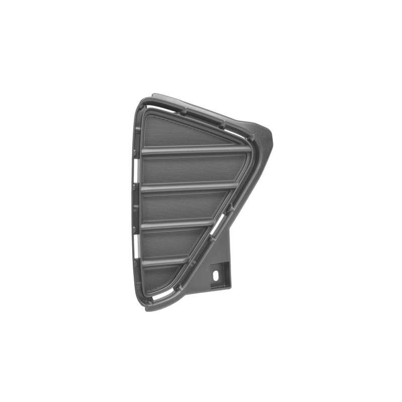 Tapon de Bumper Derecho Toyota Rav4